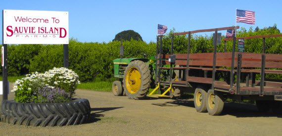 Sauvie Island Farms