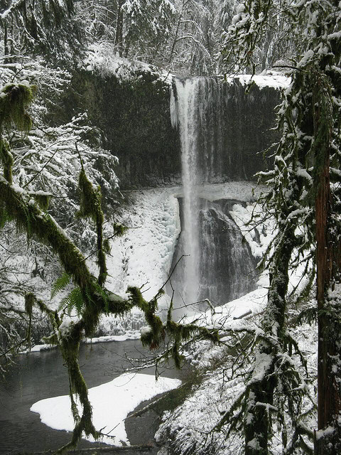 Silver Falls State Park