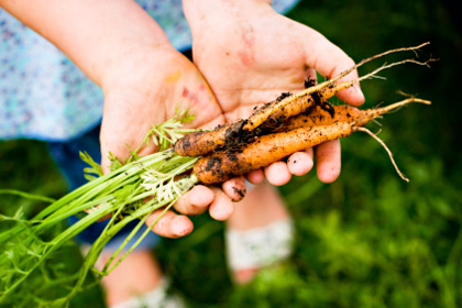 Tips for planning your first vegetable garden