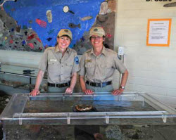 Edmonds touch tank