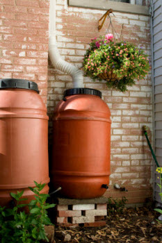 Rain barrel