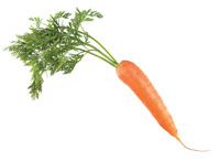 Organic carrot