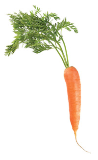 Organic carrot