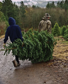 DIY Christmas trees