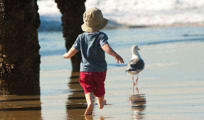 Seattle Aquarium's Beach Naturalist Program for kids