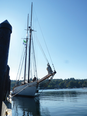 Family tall ship adventures