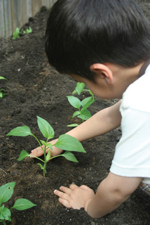 Gardening with your children