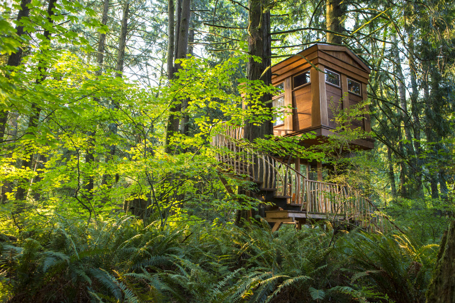 Bonbibi Treehouse, Treehouse Point