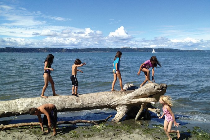 Dash Point State Park. Photo credit: Elisa Murray