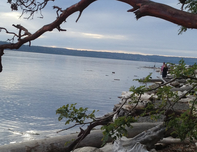 Kayak Point County Park. Photo credit: Elisa Murray