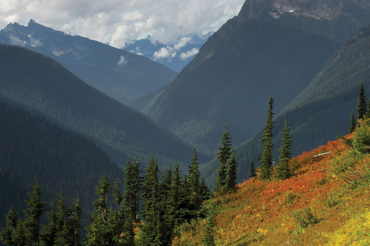 Sauk River Valley. Photo credit: Jason Hollinger, Flickr CC