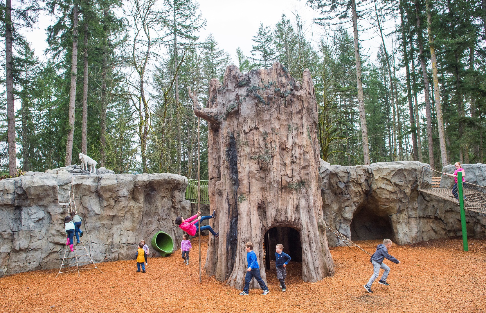 Kids' Trek play area