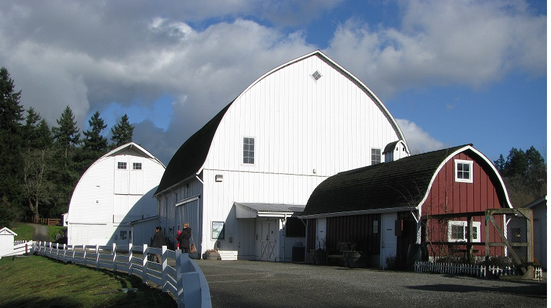 Kelsey Creek Farm