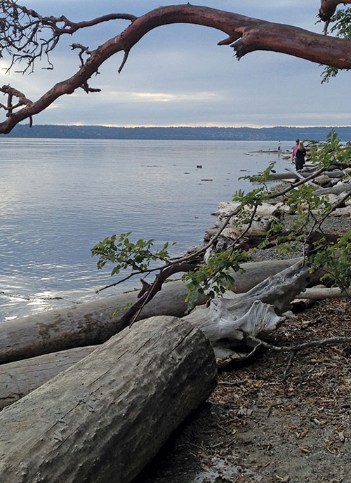 Kayak Point County Park