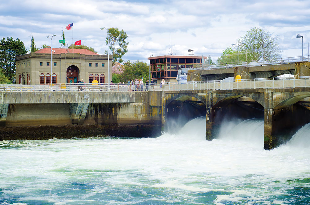 ballard locks in seattle