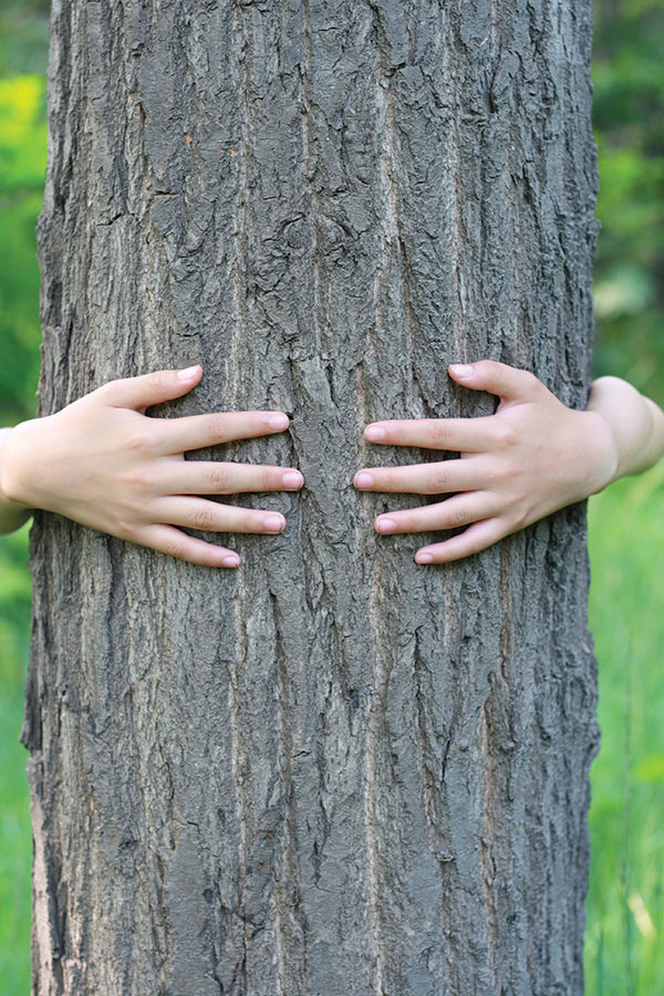 Child hugging tree in the woods nature kids