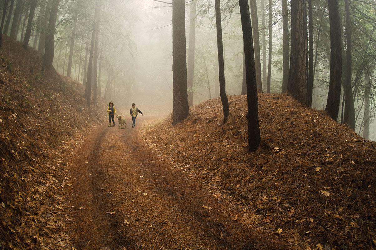 Kids in the Woods