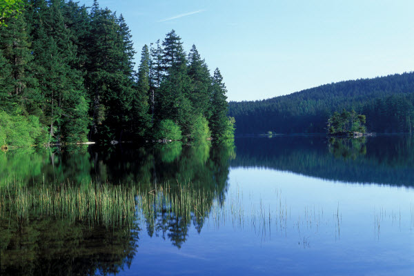 Lake Wenatchee State Park