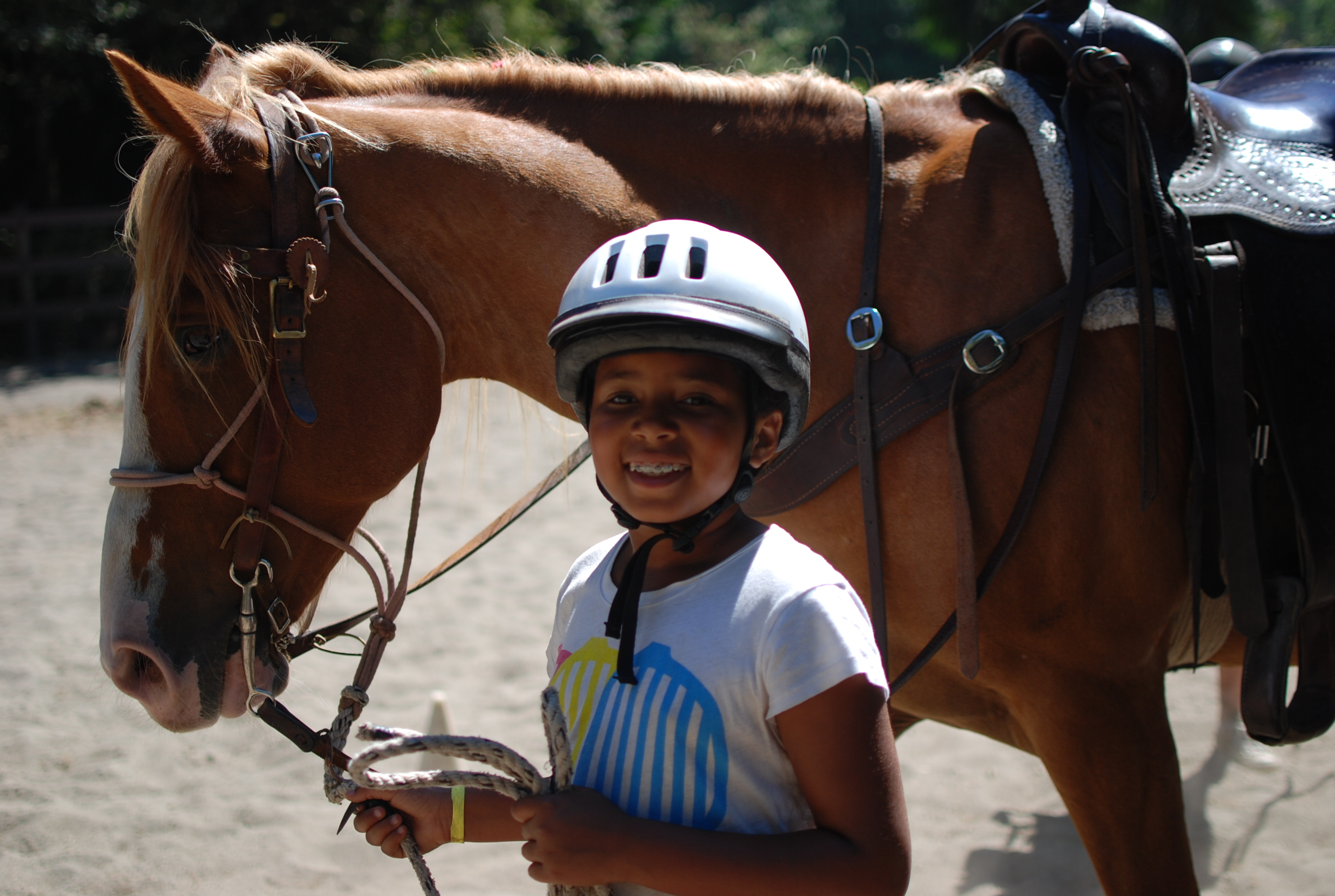 horse summer camps