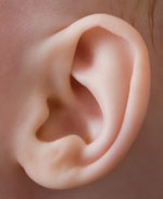 ear