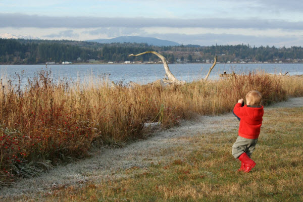 Olympic Peninsula