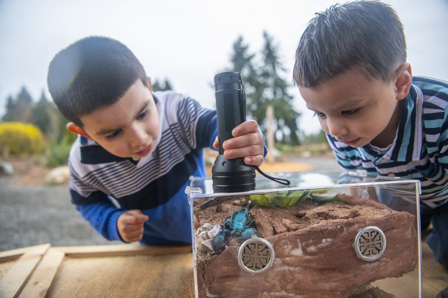 "Two boys looking at a scorpion at Point Defiance Zoo and Aquarium"