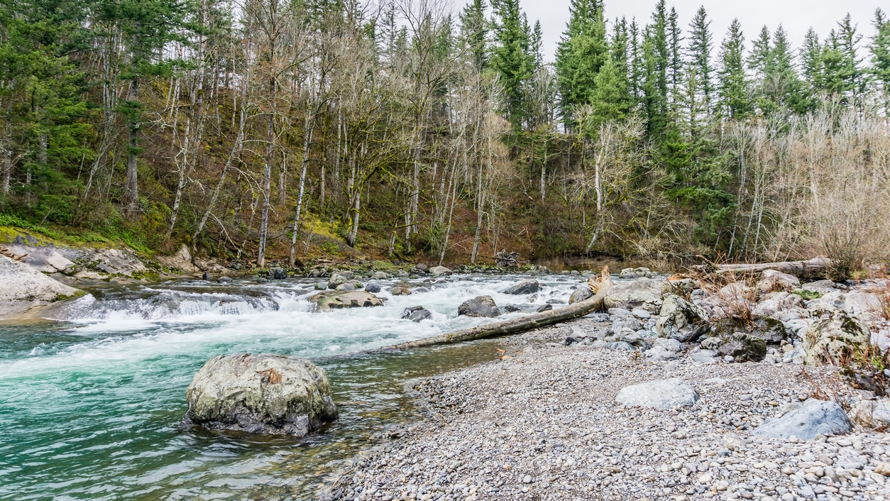 "Green river at Kanaskat-Palmer State Park"