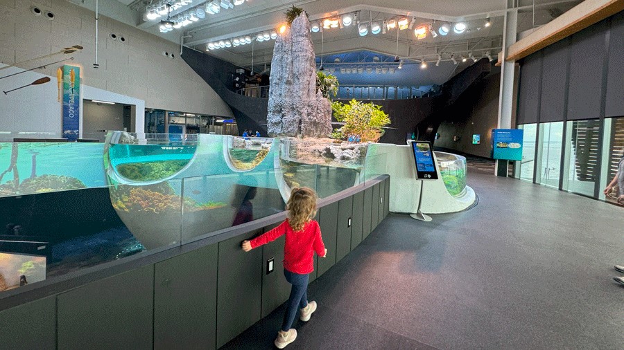 "Young girl walks to The Archipelago, an exhibit at Seattle Aquarium's new Ocean Pavilion"