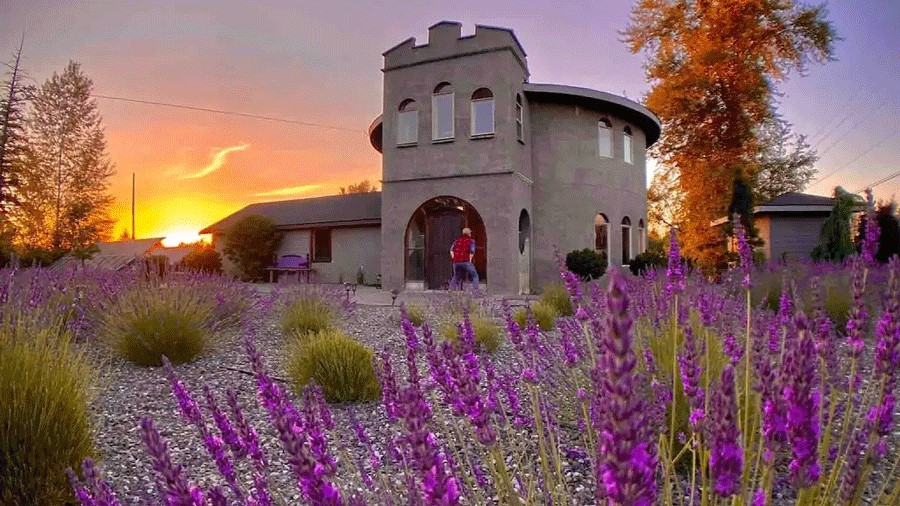 Fields of lavender outside of a castle you can rent near Seattle