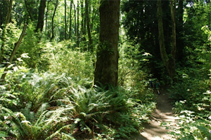 st edward state park