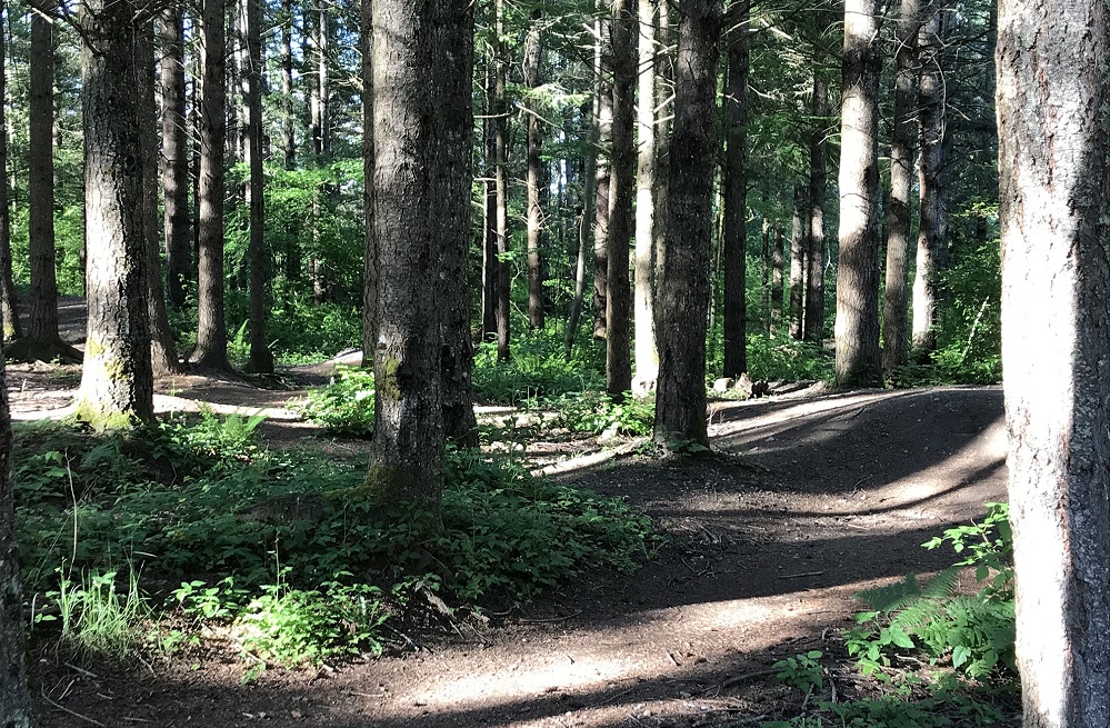 Fisher-Creek-intermediate-bike-course-great-Eastside-parks