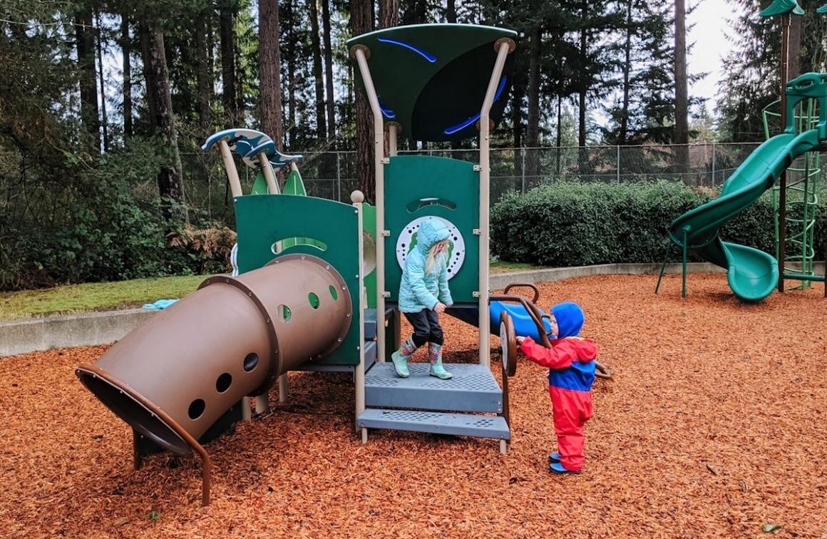 Heron Park nature themed play structures new nature themed playground for seattle eastside north sound kids