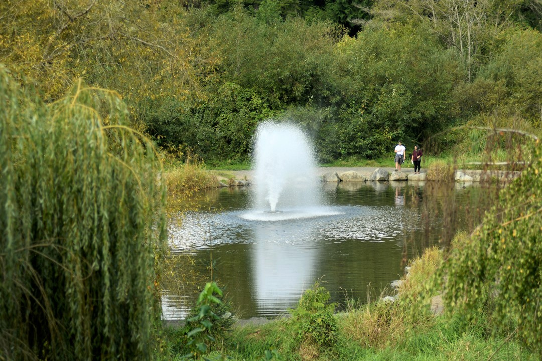 fishing-pond-Jennings-Memorial-Park-Marysville-fun-kids-playground