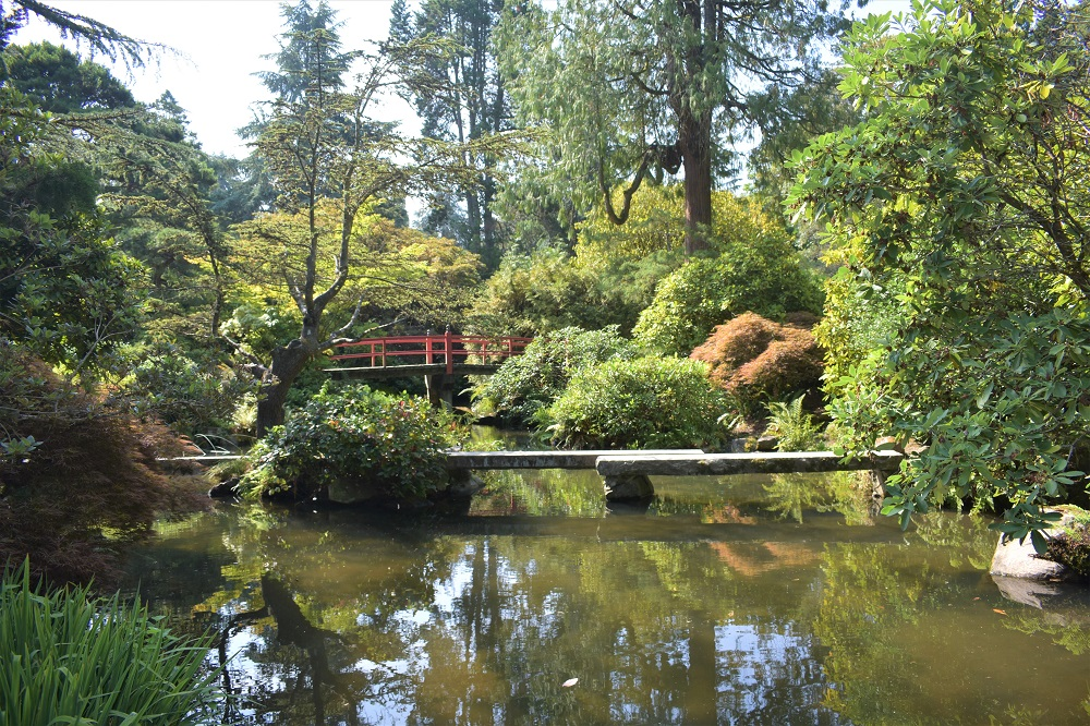 Best-park-nature-kids-south-Seattle-Renton-Kubota-Japanese-garden