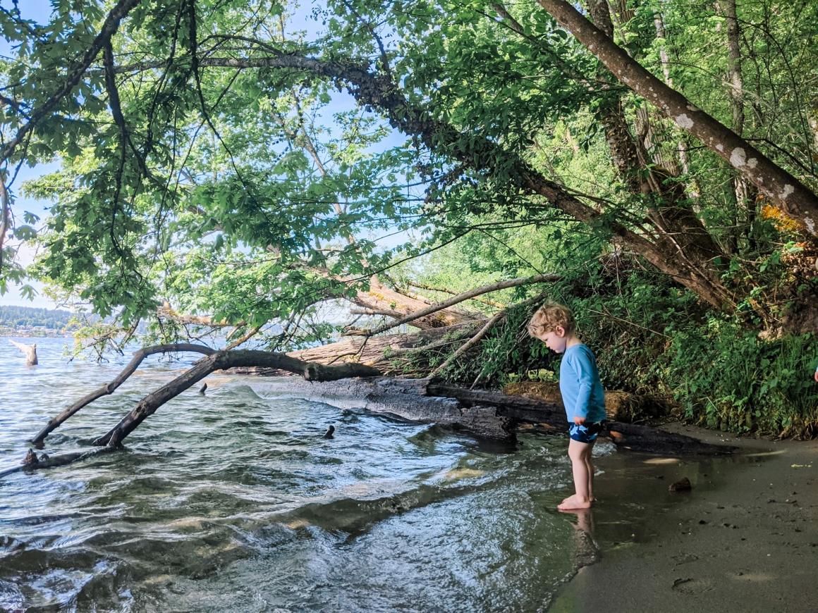 Boy standing at the water's edge of Lake Washington inside Saint Edward State Park new lodge inside the park Seattle famileis