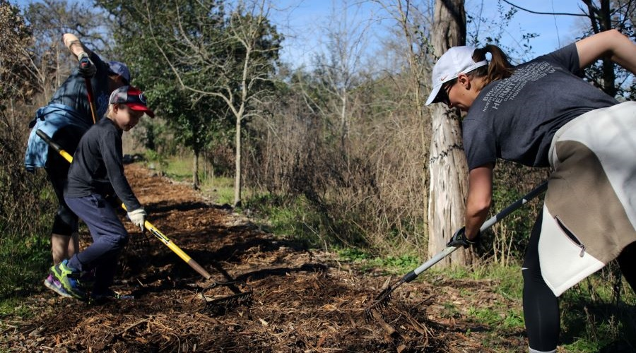 Volunteers work in the community during Martin Luther King Jr. Day Service event