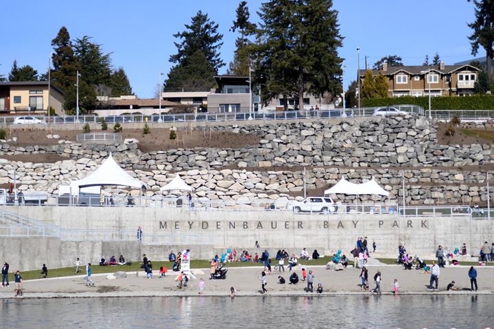 View-of-meydenbauer-bay-park-from-pedestrian-pier