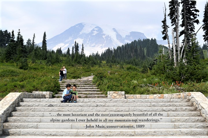 Mount-Rainier-Paradise-area-fun-for-kids-families-hiking-nature