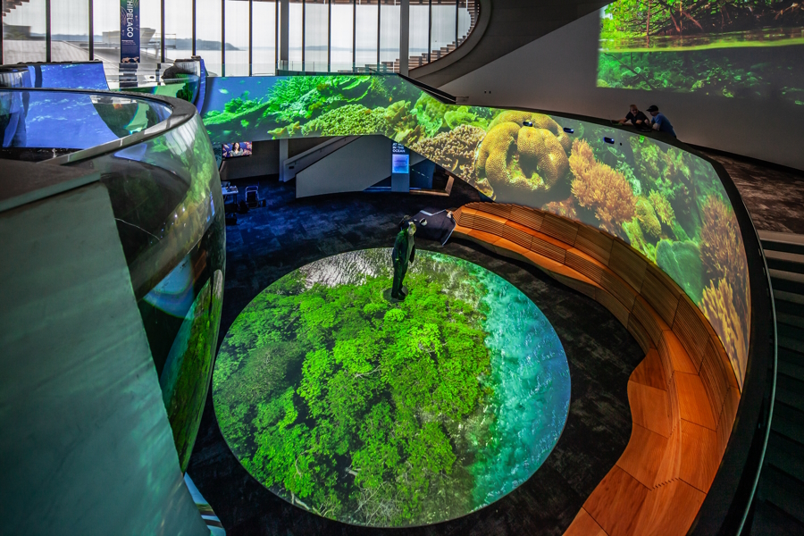 A man standing in the One Ocean exhibit at the Ocean Pavilion