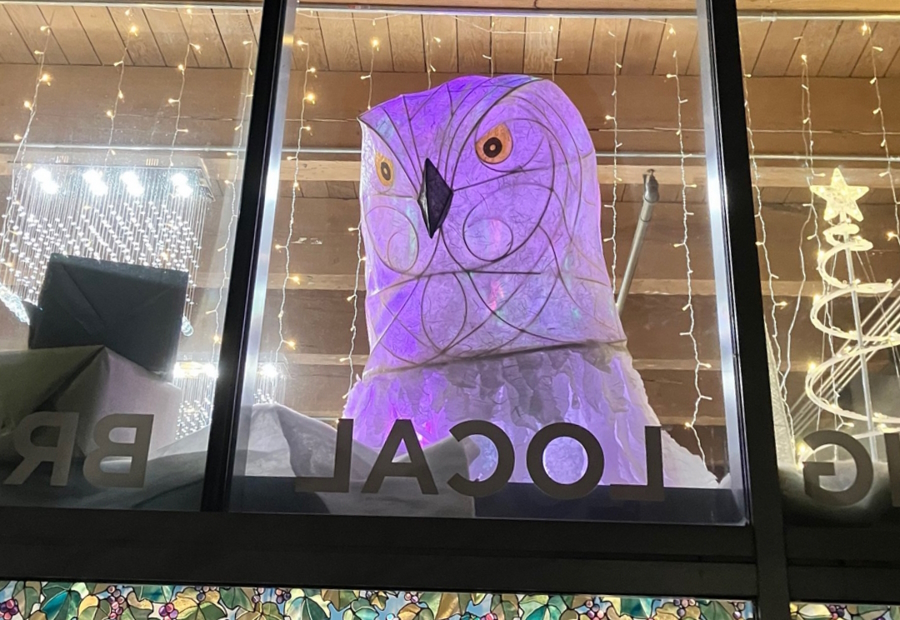 Large owl light display at the Tacoma Light Trail