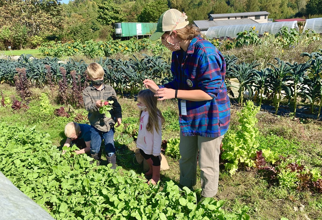 kids talking with farmer at Oxbow Farm family adventure private covid-safe field trip