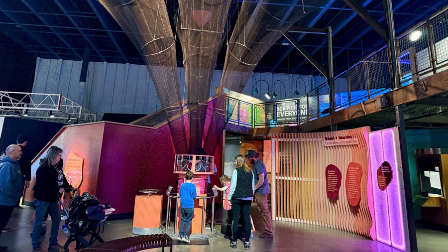 families experiment at the ball launch station, part of PacSci's new "Brainy Bodies" exhibit in Seattle