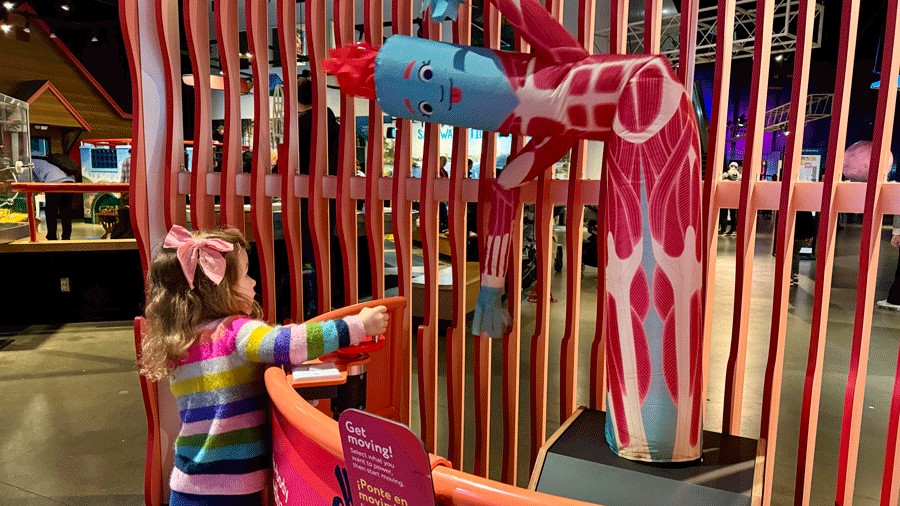 Inflatable tube person powered by movement in the new "Brainy Bodies" exhibit at PacSci