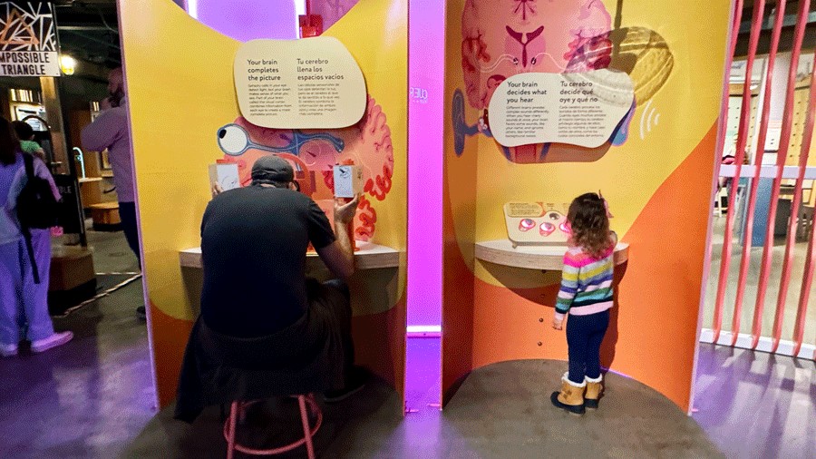 families test out the sound and sight stations at "Brainy Bodies" a new exhibit at Pacific ScienceCenter