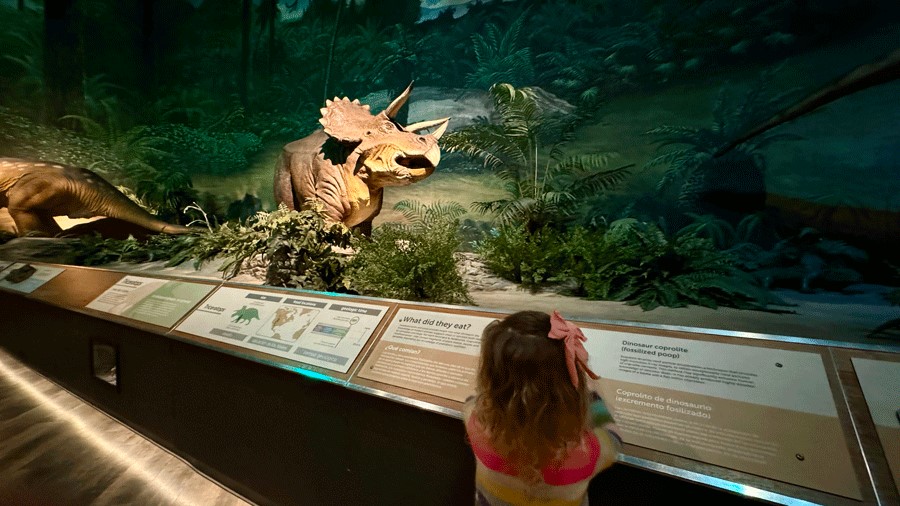 young girl looking at dinosaur exhibit at PacSci