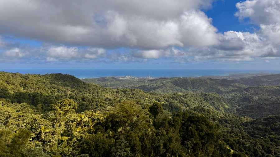 views from Yokahu Tower in Puerto Rico