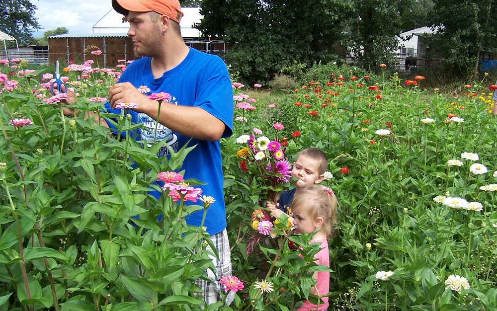 Root-connection-farm-csa-for-families