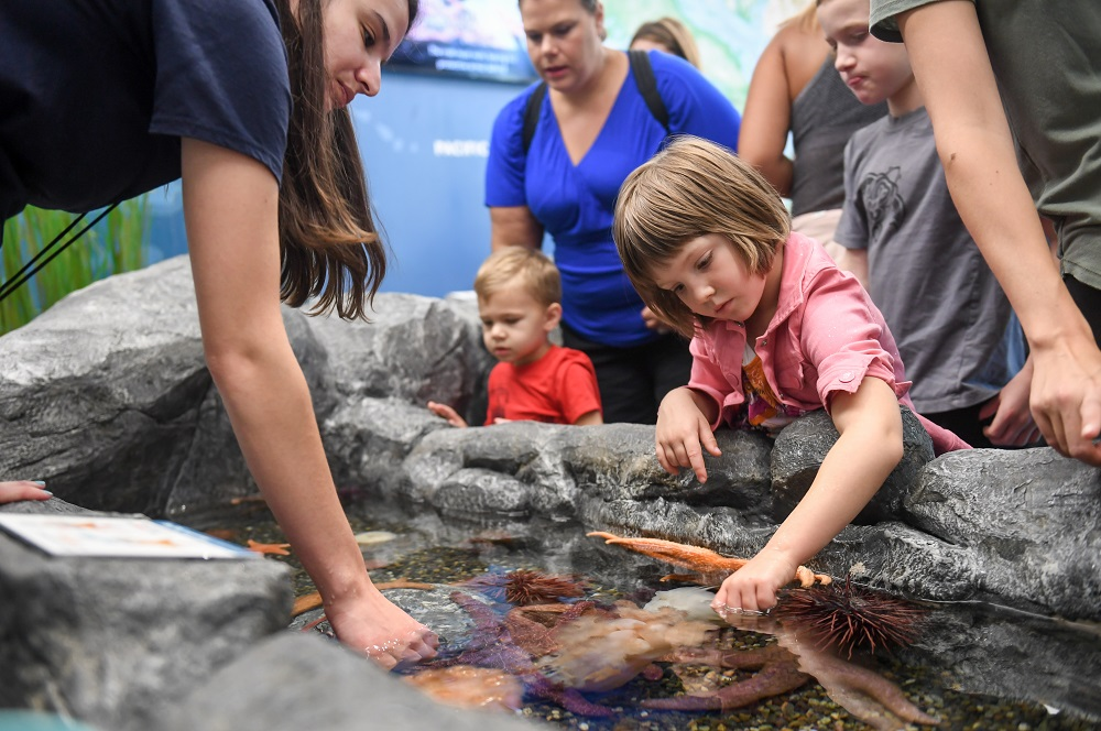 tidal-touch-zone-pacific-seas-aquarium-pdza