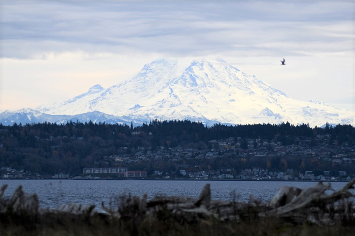 View of Rainier from Vashon