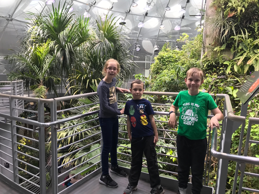 three kids inside the California Academy of Sciences